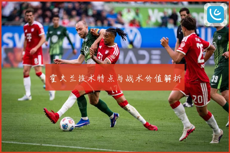 霍夫兰技术特点与战术价值解析